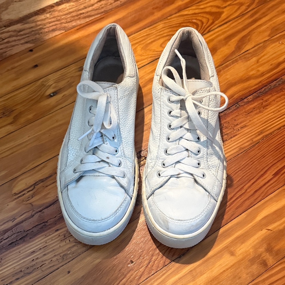 Free People Letterman Lace Up Sneakers
